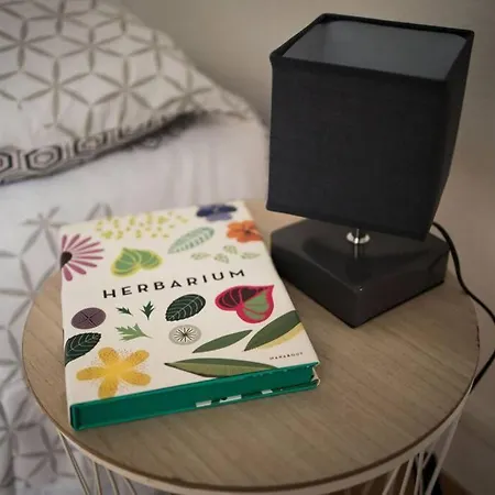 Appartement T2 Chez Jeremy - Dormir Comme A La Maison